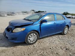 Salvage Cars with No Bids Yet For Sale at auction: 2010 Toyota Corolla Base