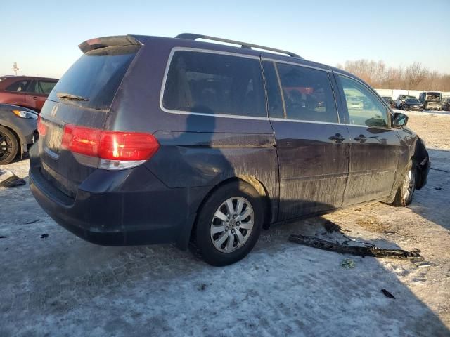 2010 Honda Odyssey EXL