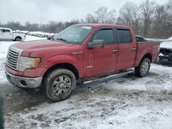 2012 Ford F150 Supercrew en venta en Ellwood City, PA