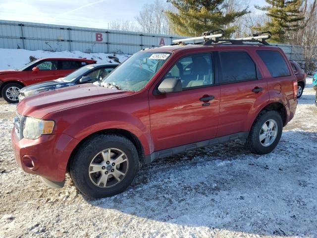 2012 Ford Escape XLT