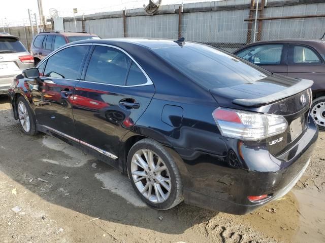 2010 Lexus HS 250H