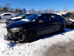 Salvage cars for sale at Walton, KY auction: 2019 Toyota Corolla L