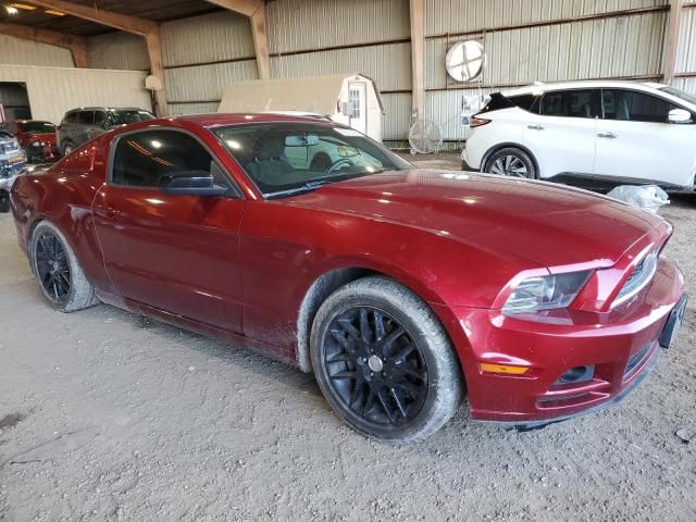 2014 Ford Mustang