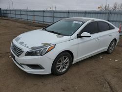 2016 Hyundai Sonata SE en venta en Greenwood, NE