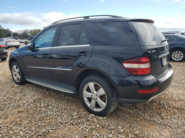 2010 Mercedes-Benz ML 350