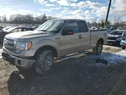 Ford salvage cars for sale: 2011 Ford F150 Super Cab