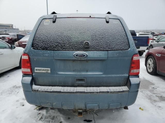 2011 Ford Escape XLT