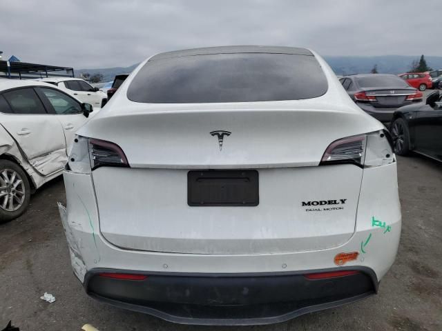 2020 Tesla Model Y