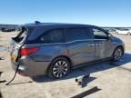 2024 Honda Odyssey EXL