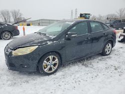 Salvage cars for sale at Barberton, OH auction: 2013 Ford Focus SE