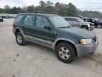 2001 Ford Escape XLT