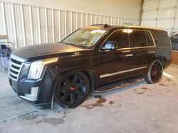 Salvage cars for sale at Abilene, TX auction: 2016 Cadillac Escalade Luxury