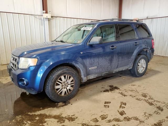 2008 Ford Escape XLT