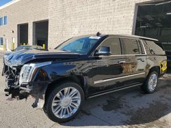 Salvage cars for sale at Littleton, CO auction: 2020 Cadillac Escalade ESV Platinum