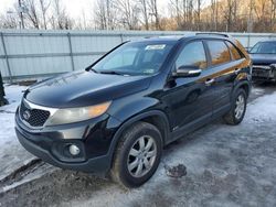 KIA Vehiculos salvage en venta: 2011 KIA Sorento Base