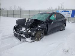 Salvage Cars with No Bids Yet For Sale at auction: 2024 Ford Escape ST Line