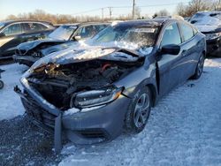 Salvage cars for sale at Hillsborough, NJ auction: 2019 Honda Insight EX