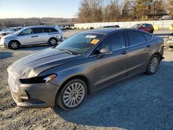 Salvage cars for sale at auction: 2013 Ford Fusion SE Hybrid