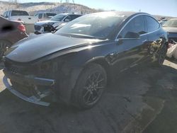 Salvage cars for sale at Littleton, CO auction: 2019 Tesla Model 3