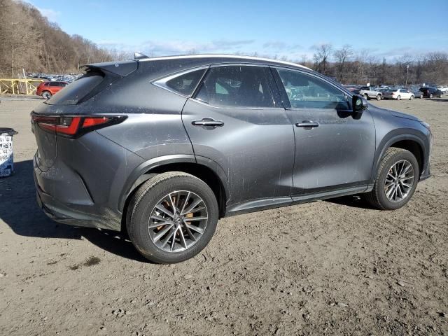 2023 Lexus NX 350