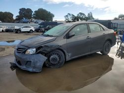 Salvage cars for sale at Hayward, CA auction: 2013 Toyota Corolla Base