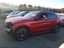 Alfa Romeo salvage cars for sale: 2023 Alfa Romeo Stelvio TI