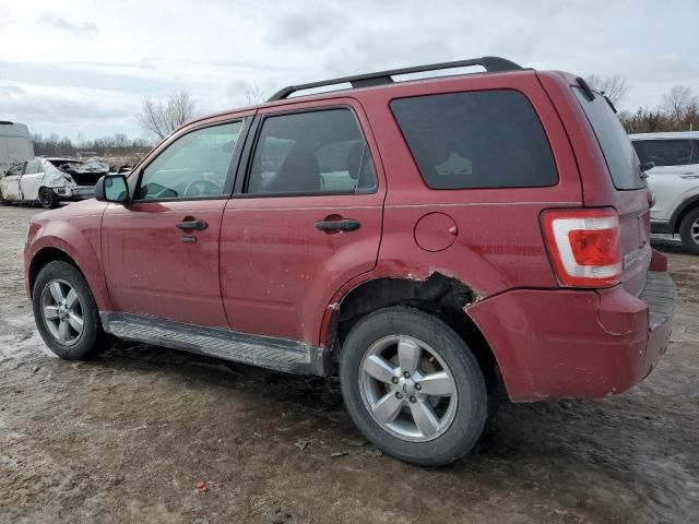 2011 Ford Escape XLT