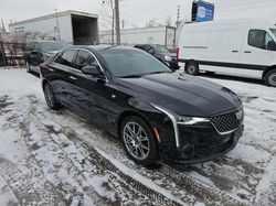 Cadillac ct4 salvage cars for sale: 2021 Cadillac CT4 Premium Luxury