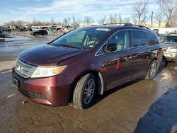 Honda Vehiculos salvage en venta: 2013 Honda Odyssey EXL