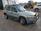 2006 Ford Escape XLT