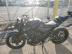 2024 Yamaha MT-03