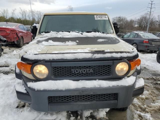 2010 Toyota FJ Cruiser