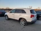 2011 KIA Sorento EX