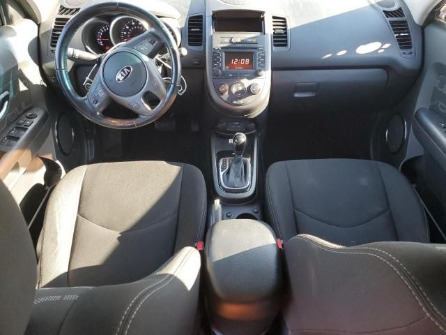 2013 KIA Soul +