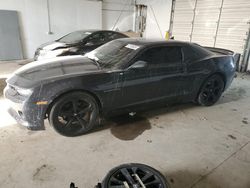 Salvage cars for sale at Lexington, KY auction: 2015 Chevrolet Camaro LT