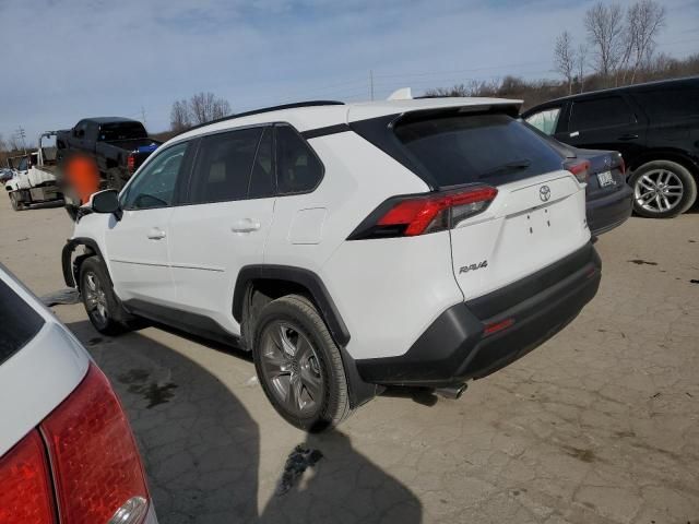 2024 Toyota Rav4 XLE