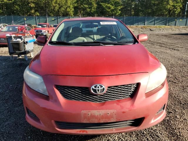 2010 Toyota Corolla Base