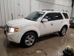 Salvage cars for sale at Franklin, WI auction: 2012 Ford Escape Limited