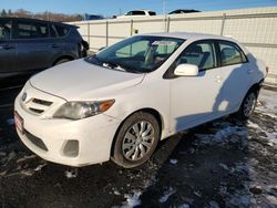 Salvage cars for sale from Copart Pennsburg, PA: 2012 Toyota Corolla Base