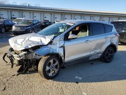 2015 Ford Escape SE en venta en Louisville, KY