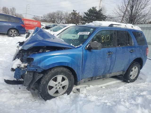 2011 Ford Escape XLT