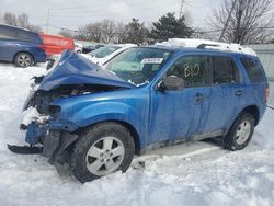 Salvage Cars with No Bids Yet For Sale at auction: 2011 Ford Escape XLT