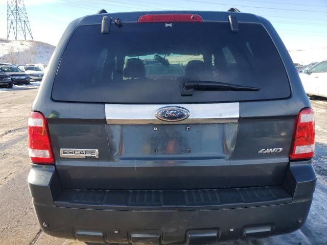 2008 Ford Escape Limited