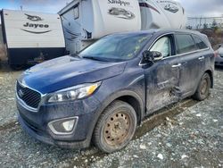 Salvage cars for sale from Copart Cow Bay, NS: 2017 KIA Sorento LX