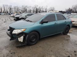 Salvage cars for sale at Baltimore, MD auction: 2009 Toyota Corolla Base