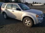 2009 Ford Escape XLS