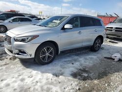 Infiniti Vehiculos salvage en venta: 2019 Infiniti QX60 Luxe