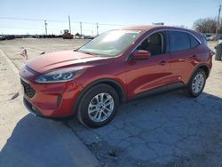 Salvage cars for sale at Oklahoma City, OK auction: 2020 Ford Escape SE