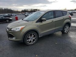 Salvage cars for sale from Copart Grantville, PA: 2013 Ford Escape SEL