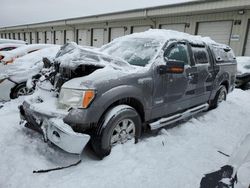 Salvage cars for sale at Louisville, KY auction: 2013 Ford F150 Supercrew